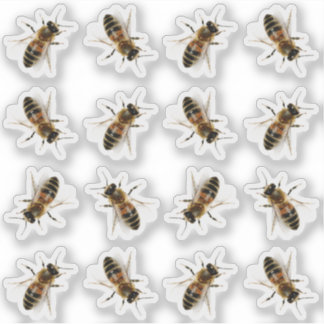 Realistic Life-size Honeybee Beekeeper Stickers