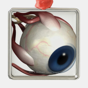 Realistic rendering of the muscles of the eye metal tree decoration