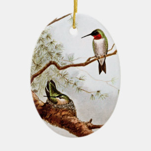 Realistic Ruby-Throated Hummingbird Art Ceramic Tree Decoration