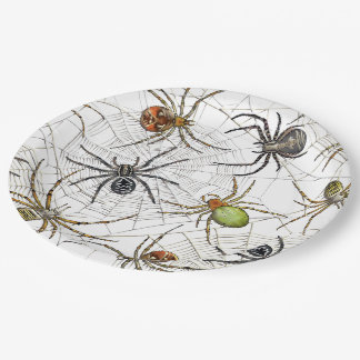 Realistic Spiders Web Pattern Paper Plate