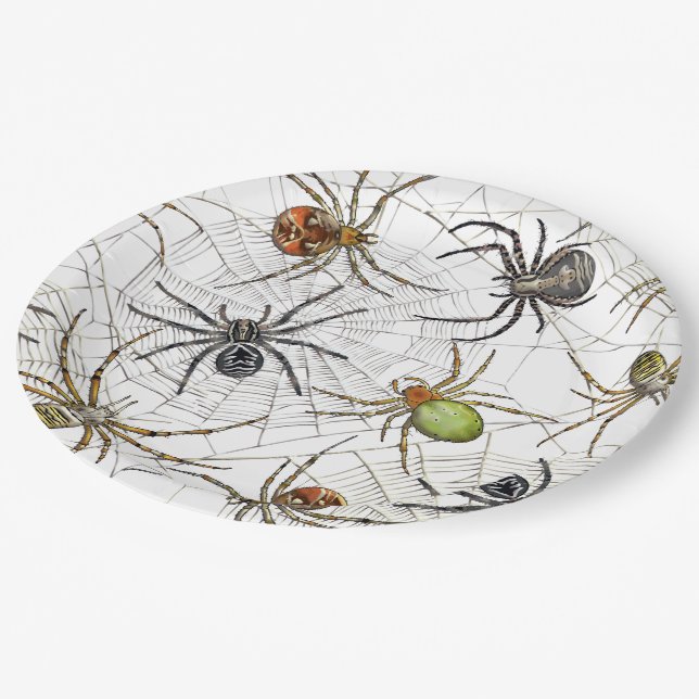 Realistic Spiders Web Pattern Paper Plate (Angled)