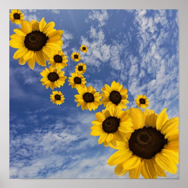 Realistic sun flowers in a blue sky poster (Front)