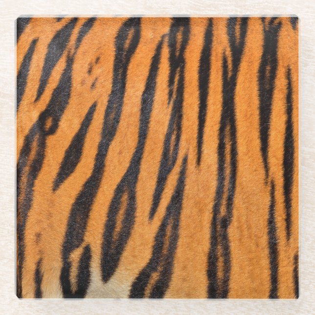 Realistic tiger skin texture. glass coaster (Front)