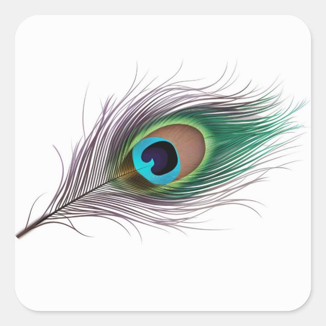 Realistic Vibrant Peacock Feather with a Bold Eye Square Sticker (Front)