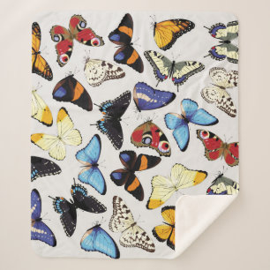 Realistic vintage butterflies collection. sherpa blanket