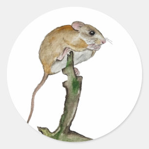 Realistic watercolor mouse in a tree classic round sticker