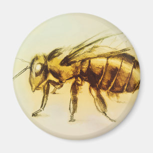 Realistic Yellow Hornet art, Round Magnet - Bee