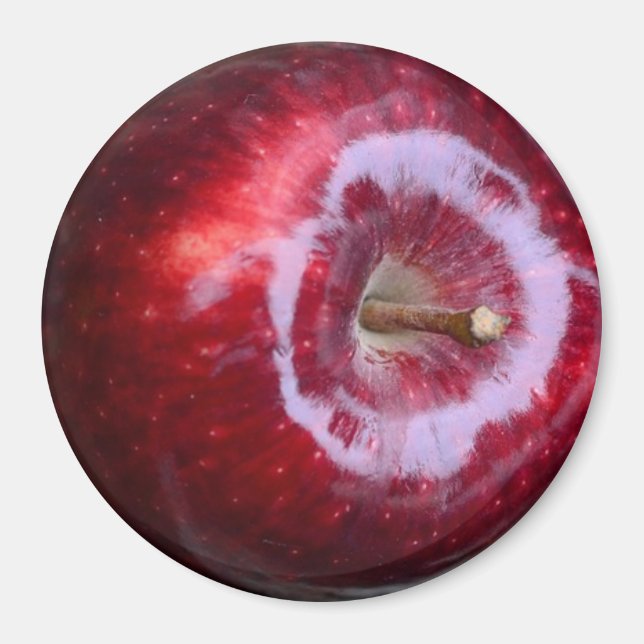 Realistic Yummy Red Apple Refrigerator Magnet (Front)