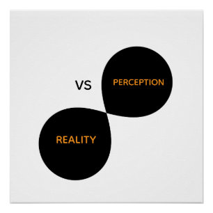 Reality Vs Perception Poster