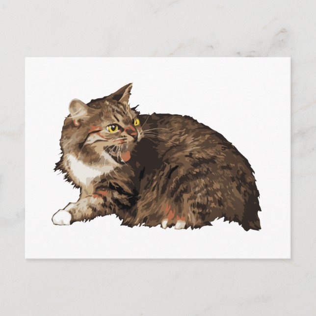 Really Angry Cat Postcard (Front)