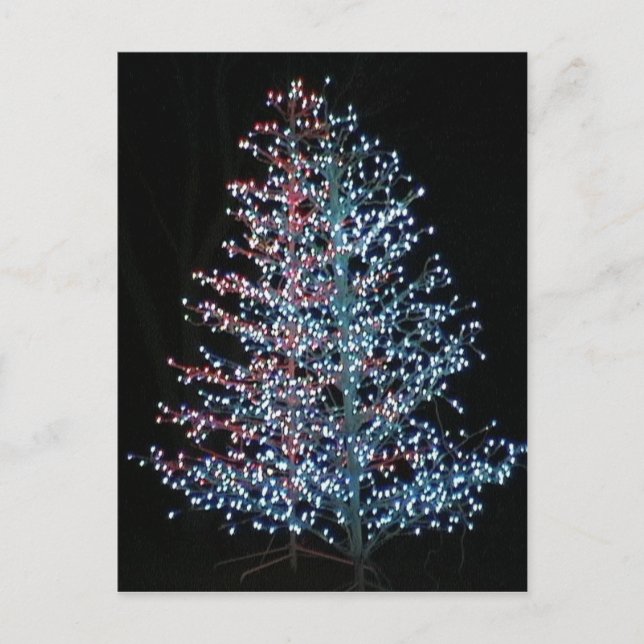 Really Bright! Postcard (Front)