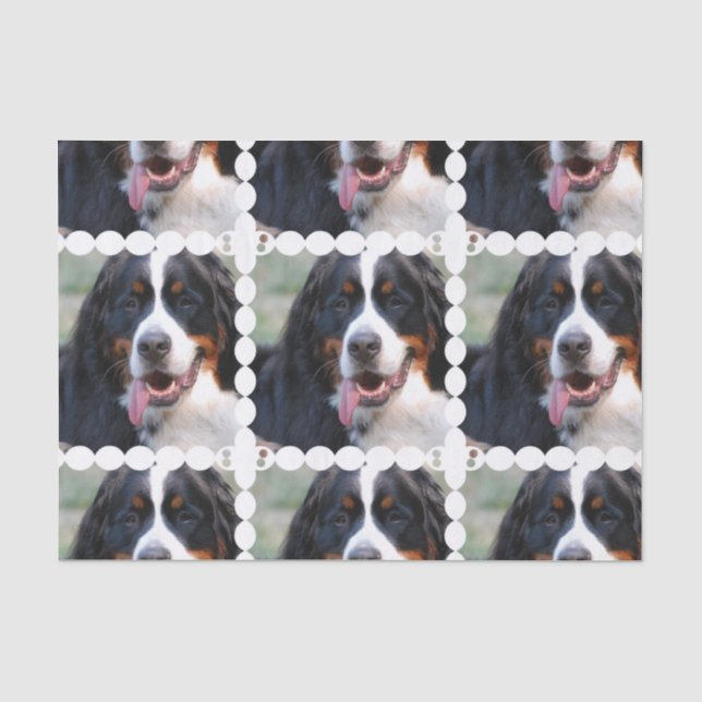 Really Cute Bernese Mountain Dog Tissue Paper (Front)