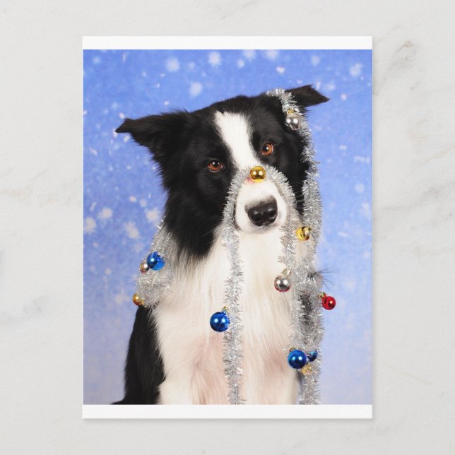 Really? Postcard (Front)