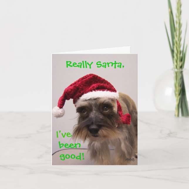 Really Santa! Holiday Card (Front)