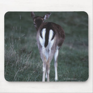 Rear view of a deer , New Zealand Mouse Pad