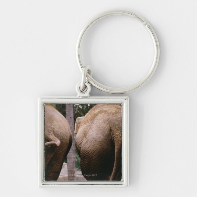 Rear view of Asian elephants Key Ring (Front)