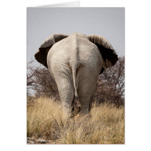 Rear view of elephant