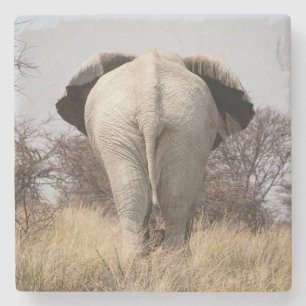 Rear view of elephant stone coaster