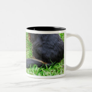 Rear view of two Dachshund dogs Two-Tone Coffee Mug