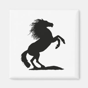 Rearing Black Stallion by Cussdum Designs Magnet