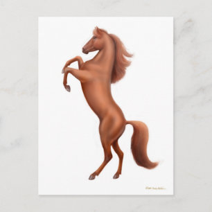 Rearing Chestnut Horse Postcard