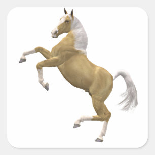 Rearing horse square sticker