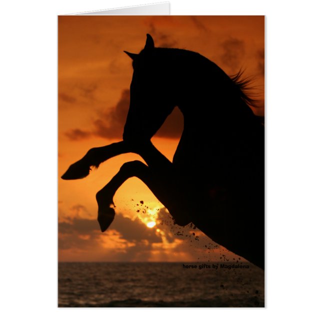 Rearing in the Sunset (Front)