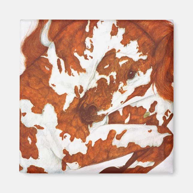 Rearing Paint Horse Magnet (Front)