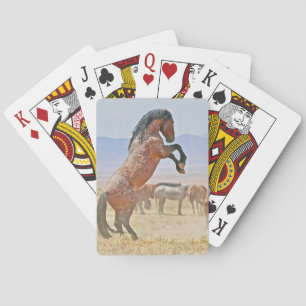 Rearing Stallion, Ready to Play, card set
