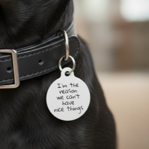 Reason we Can't Have Nice Things Dog Cat Pet ID Tag