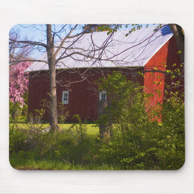 reb barn mouse pad (Front)