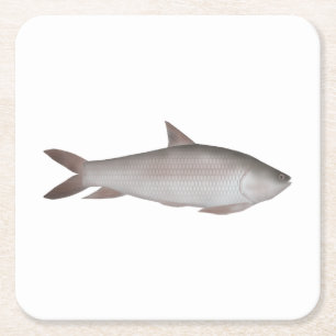 Reba Carp Square Paper Coaster