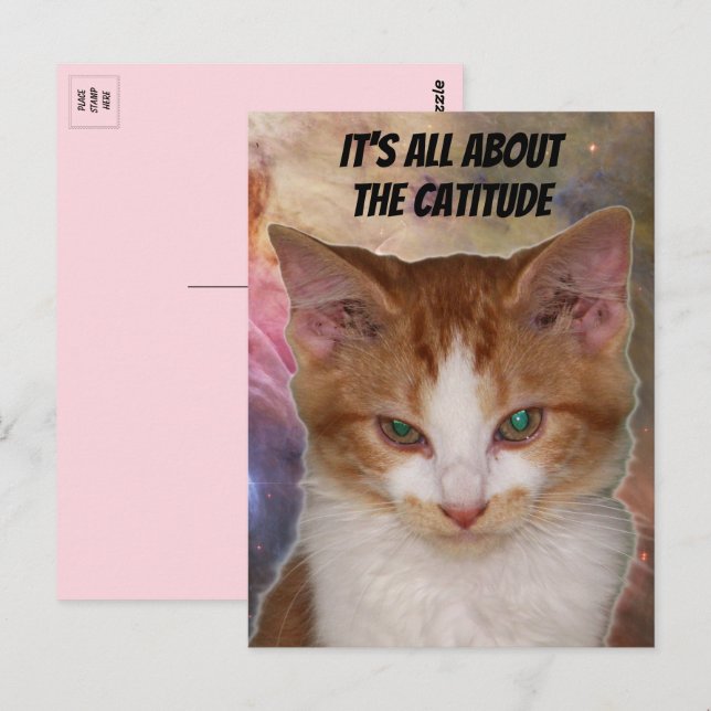 Reba's Catitude Postcard (Front/Back)