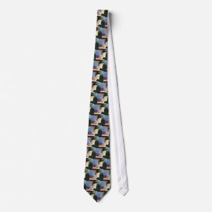 Rebbe Tie