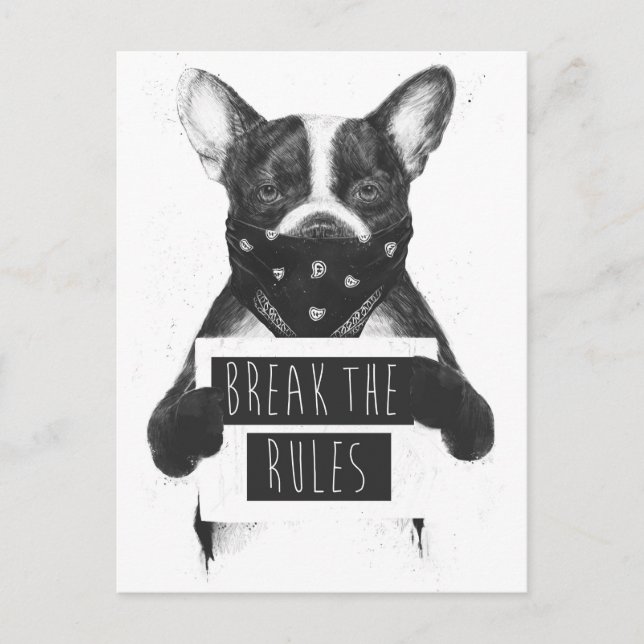 Rebel dog postcard (Front)