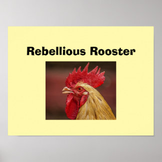 Rebellious Rooster  Poster