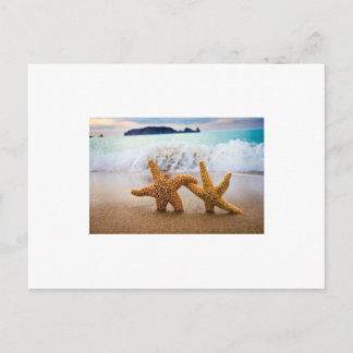 Reception Reply Post Card