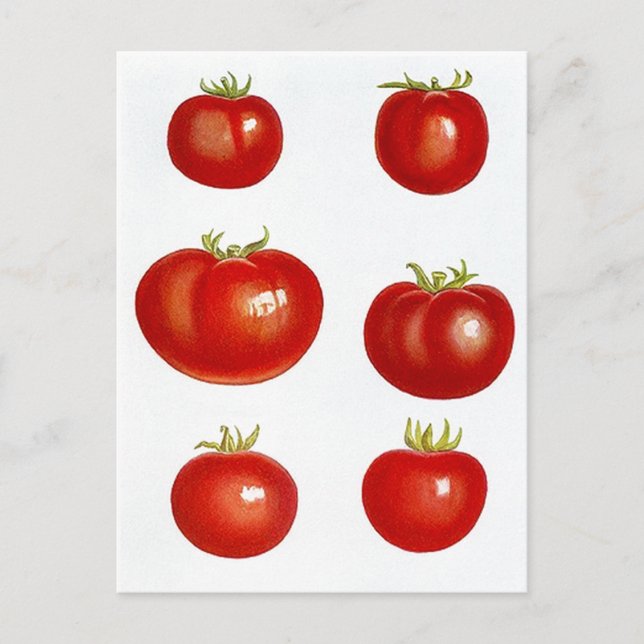 Recipe Card Postcard Design To Share Fav Recipes (Front)