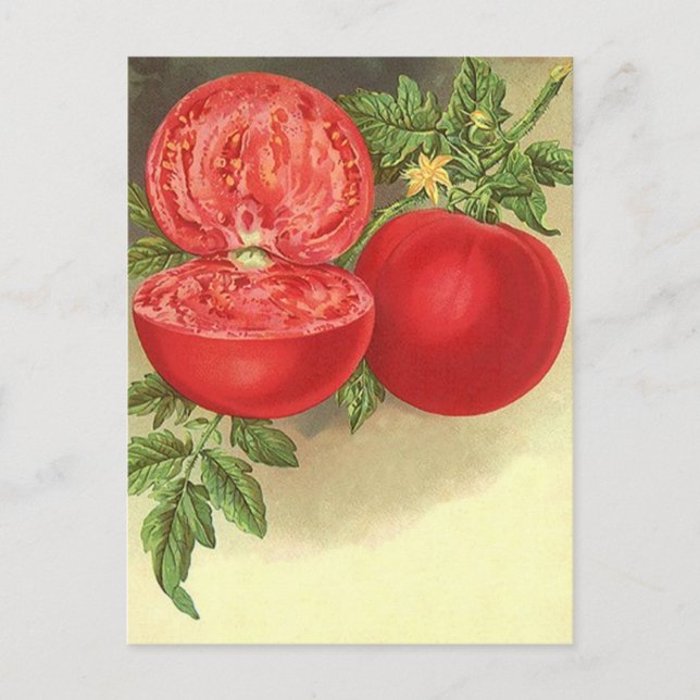 Recipe Card Postcard Design To Share Fav Recipes (Front)