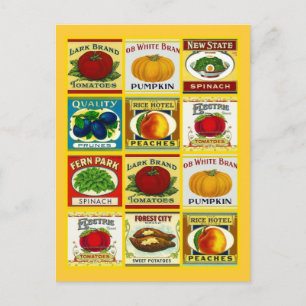 Recipe Card Postcard Design To Share Fav Recipes