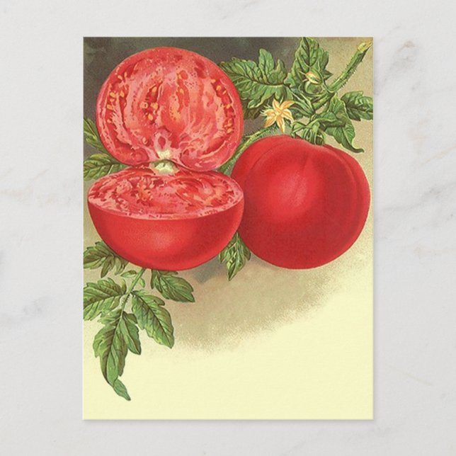 Recipe Card Postcard Design To Share Fav Recipes (Front)