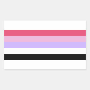 Reciprosexual Pride Rectangular Sticker
