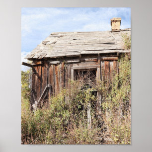 Reclaimed By Nature Poster