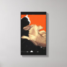 Reclining Elderly Chihuahua Thinking of Dinner