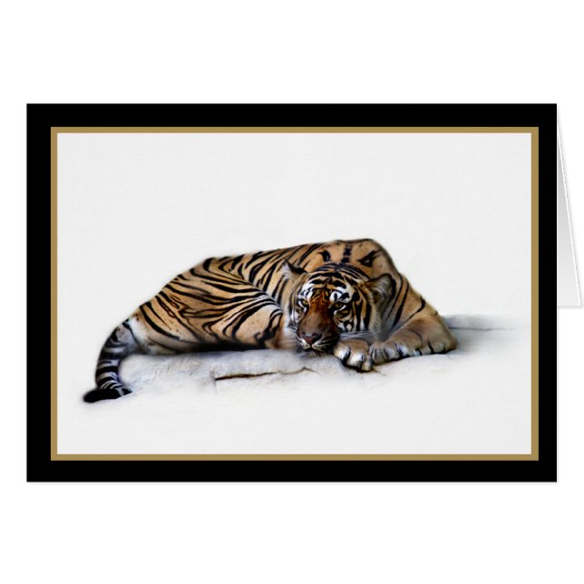 Reclining Tiger Blank Card (Front Horizontal)