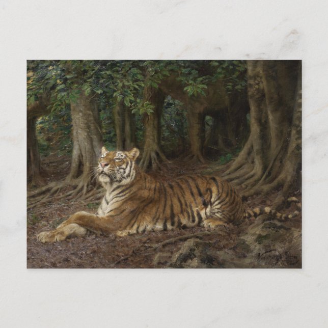 Reclining Tiger by Geza Vastagh Postcard (Front)