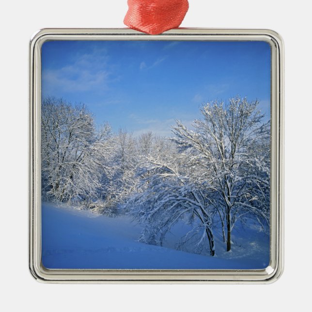 Record snow in Louisville, Kentucky. Metal Tree Decoration (Front)