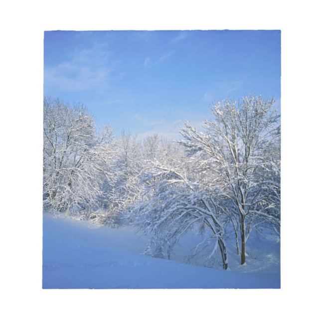 Record snow in Louisville, Kentucky. Notepad (Front)