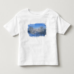 Record snow in Louisville, Kentucky. Toddler T-Shirt