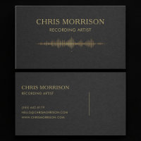 Recording Artist